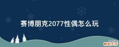 赛博朋克2077性偶怎么玩