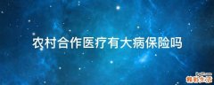 农村合作医疗有大病保险吗