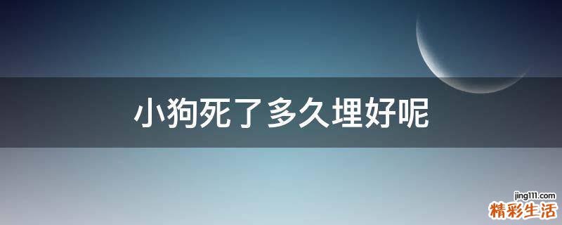小狗死了多久埋好呢