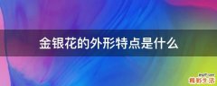 金银花的外形特点是什么
