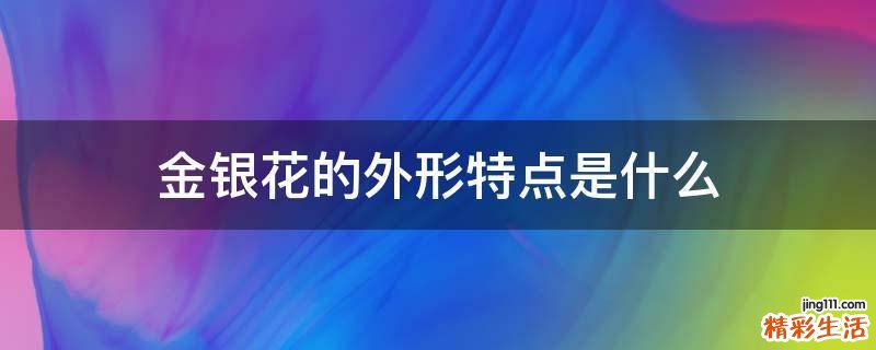 金银花的外形特点是什么