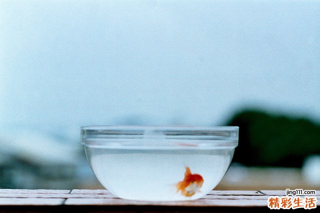 结膜炎并发症是什么呢