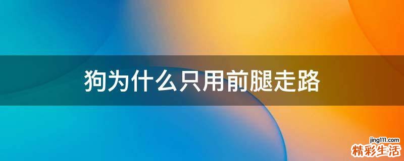 狗为什么只用前腿走路