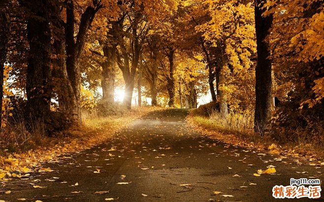 结膜炎易导致什么并发症