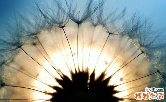 视神经萎缩有哪些危害