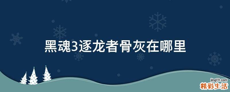 黑魂3逐龙者骨灰在哪里