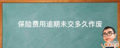 保险费用逾期未交多久作废