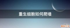 重生细胞如何爬墙