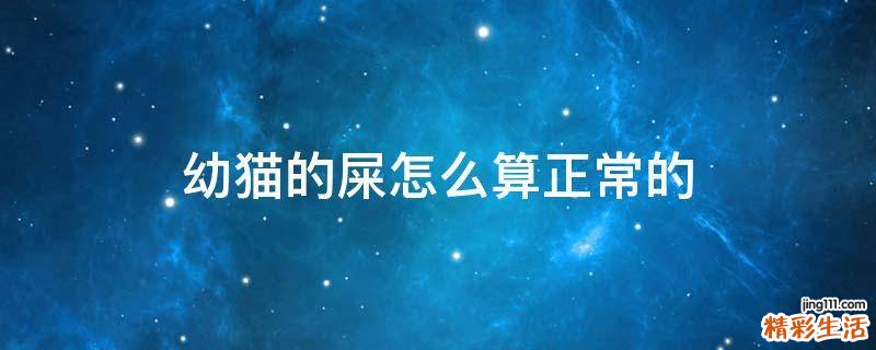 幼猫的屎怎么算正常的