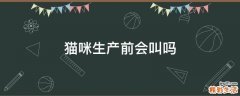 猫咪生产前会叫吗