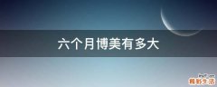 六个月博美有多大