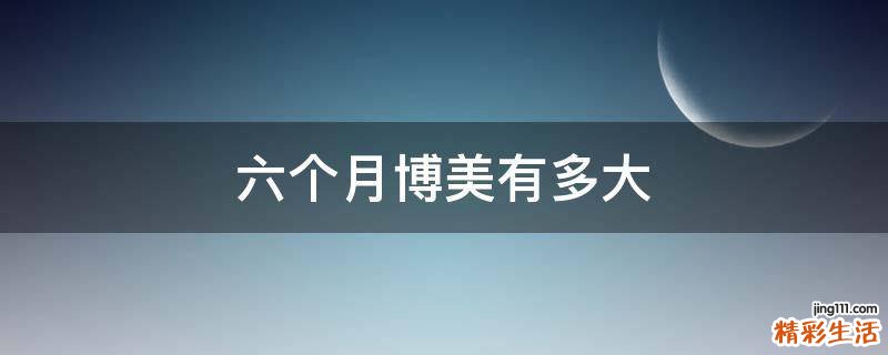 六个月博美有多大