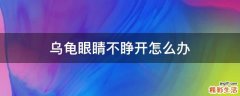 乌龟眼睛不睁开怎么办
