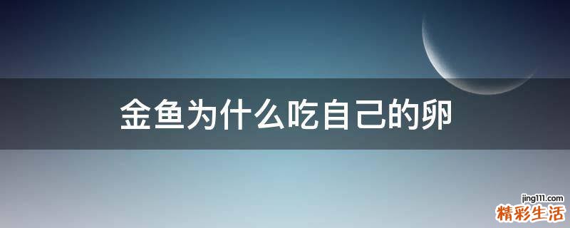 金鱼为什么吃自己的卵