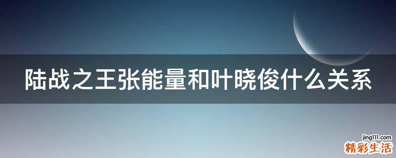 陆战之王张能量和叶晓俊什么关系