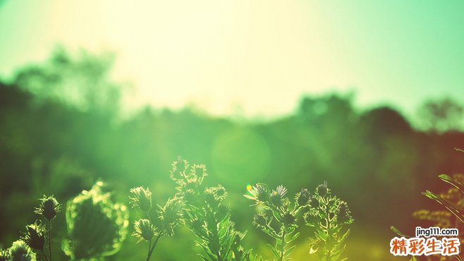 【美白祛痘偏方】击退烦人的痘痘