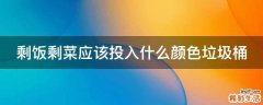 剩饭剩菜应该投入什么颜色垃圾桶