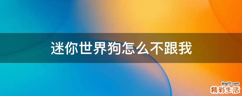 迷你世界狗怎么不跟我