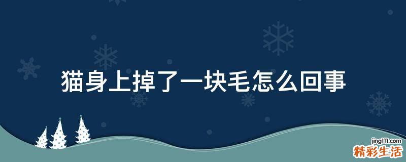猫身上掉了一块毛怎么回事