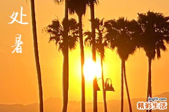 2023年处暑当天申时交运什么时候 处暑交运有什么讲究