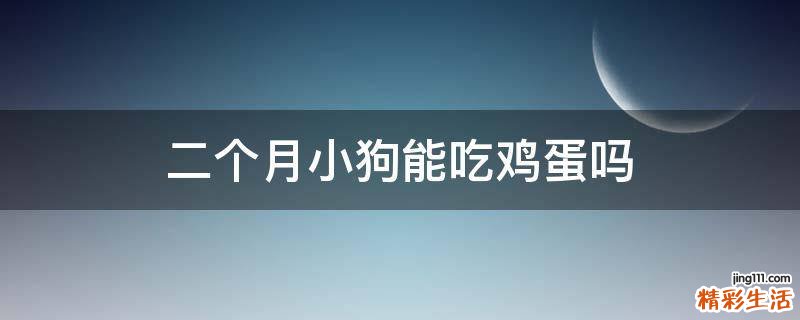 二个月小狗能吃鸡蛋吗