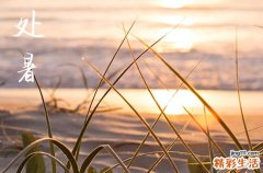 2023年处暑是黄道吉日还是忌日 处暑气候特点