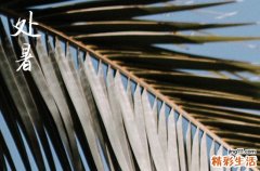 2023年处暑时间是下午还是上午 2023年处暑时间是晚上还是白天