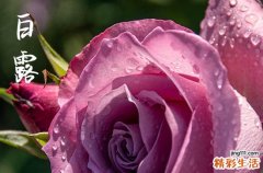 2023年广东白露过了就凉了吗 广东白露过了天气有什么变化