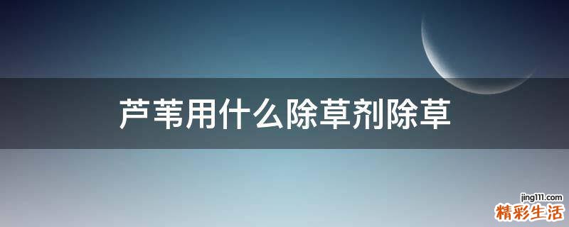 芦苇用什么除草剂除草