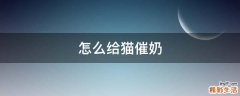 怎么给猫催奶