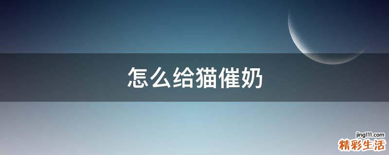 怎么给猫催奶