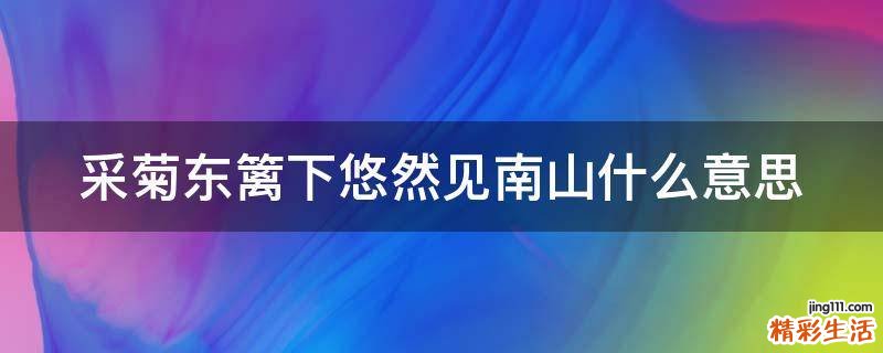 采菊东篱下悠然见南山什么意思