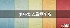 gta5怎么显示车速