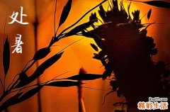 2023年处暑是哪一天开始的 处暑的物候特征