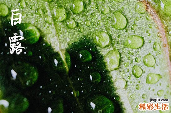 2023年白露后多久才冷 白露后天气有什么变化