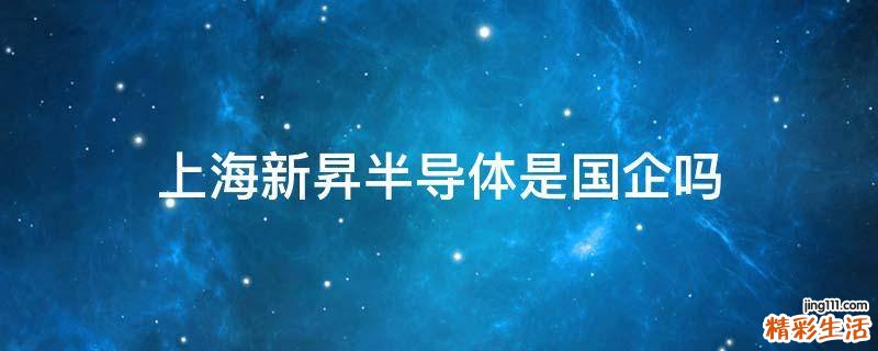 上海新昇半导体是国企吗