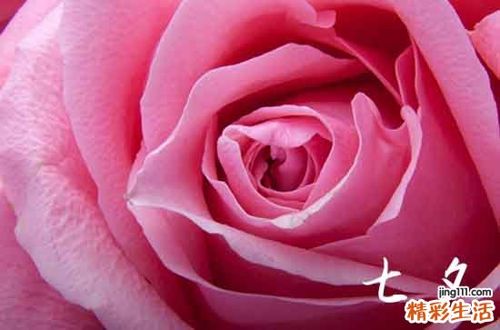 2023七夕节领证文案怎么写唯美 2023七夕领结婚证文案短句