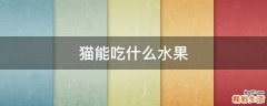 猫能吃什么水果