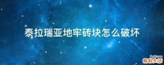 泰拉瑞亚地牢砖块怎么破坏