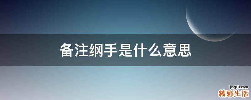 备注纲手是什么意思