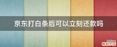 京东打白条后可以立刻还款吗