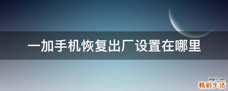 一加手机恢复出厂设置在哪里
