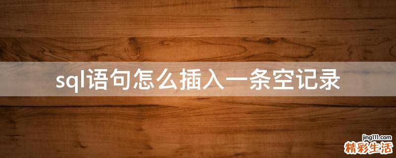 sql语句怎么插入一条空记录