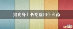 狗狗身上长疙瘩用什么药