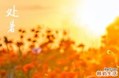 今天处暑的具体时间2023