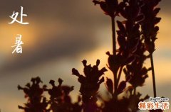 处暑是几月几号2023年