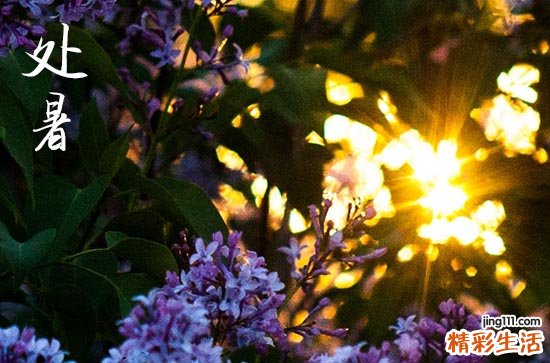 处暑是什么时候2023