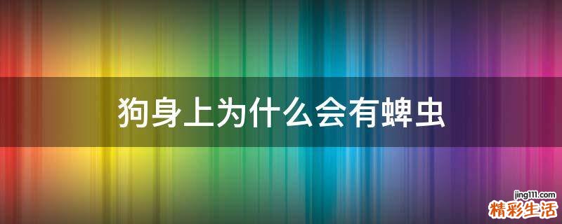 狗身上为什么会有蜱虫