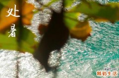 处暑晚上是不是凉快了