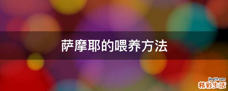 萨摩耶的喂养方法